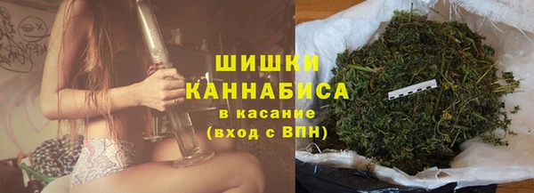 винт Богданович