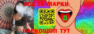 амф Гатчина