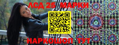 амф Гатчина