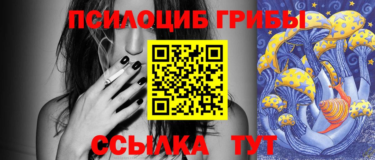 Галлюциногенные грибы Psilocybe  что такое наркотик  Шарыпово  Вход с VPN 