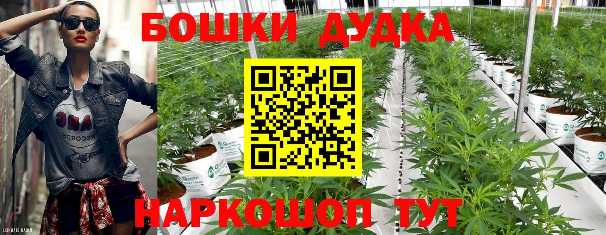 Конопля планчик Шарыпово